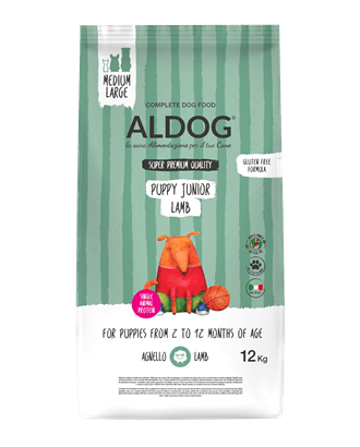 AL DOG – PUPPY JUNIOR AGNELLO –